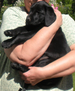 Molly